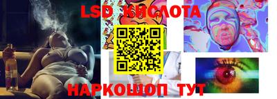 сатива Новодвинск