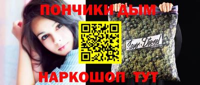 сатива Новодвинск
