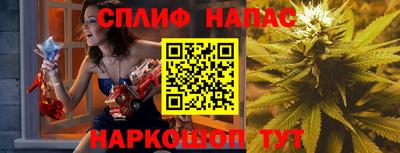сатива Новодвинск