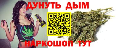 сатива Новодвинск