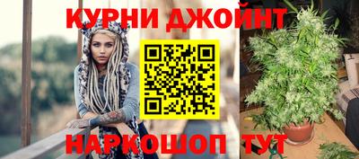 сатива Новодвинск