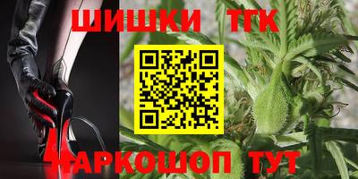 сатива Новодвинск