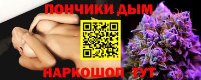 сатива Новодвинск