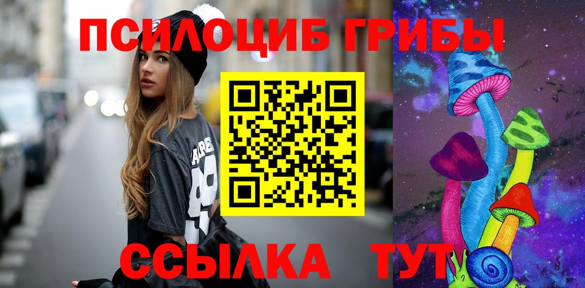 Галлюциногенные грибы прущие грибы Тихвин
