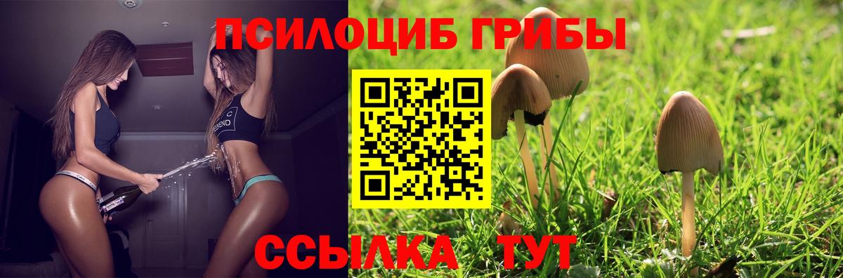 Псилоцибиновые грибы GOLDEN TEACHER  Вход с VPN  Тихвин 